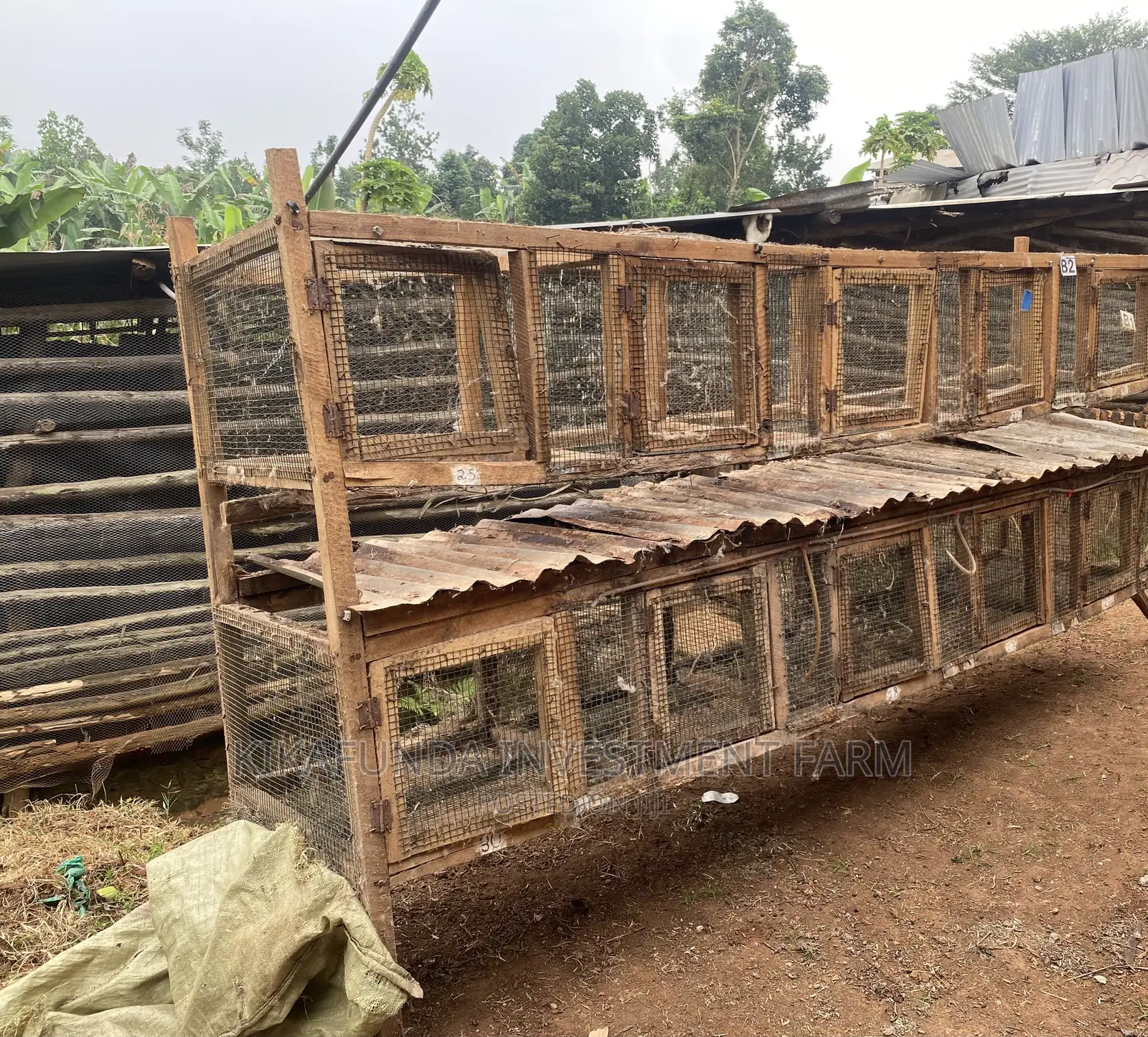10 Roomed Cage