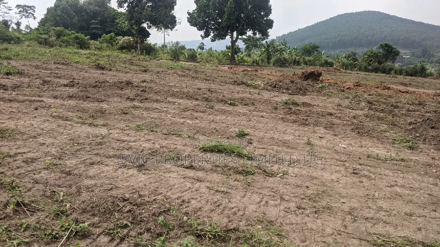 New Plots in the Gobero Katake Estate