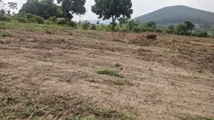 New Plots in the Gobero Katake Estate