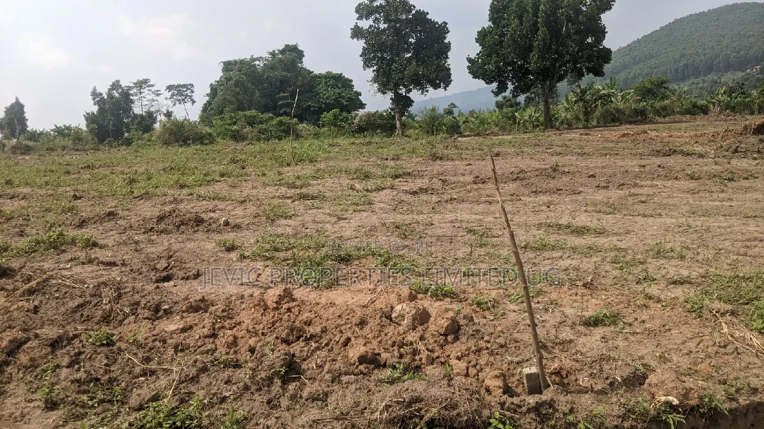 New Plots in the Gobero Katake Estate
