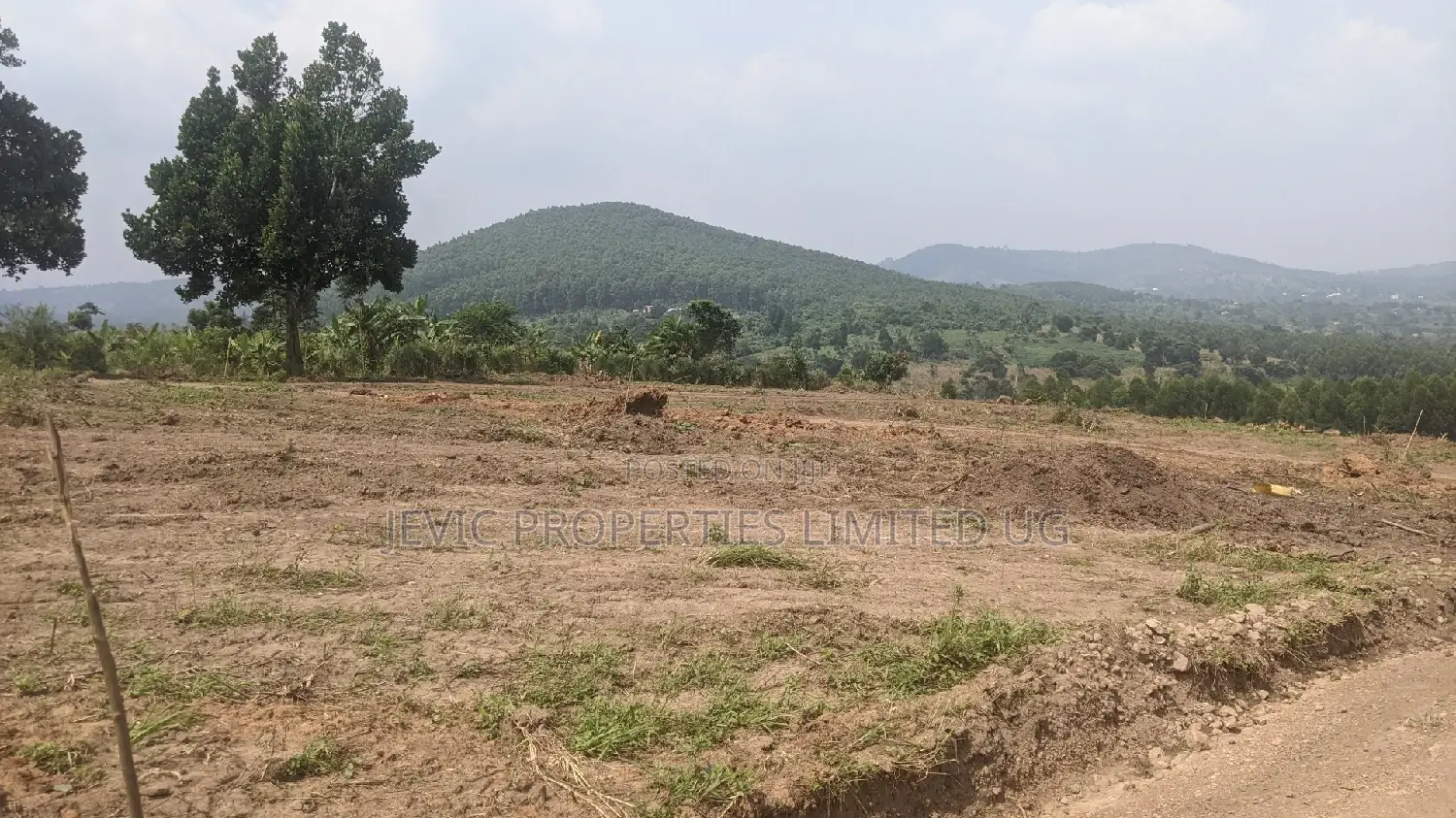 New Plots in the Gobero Katake Estate