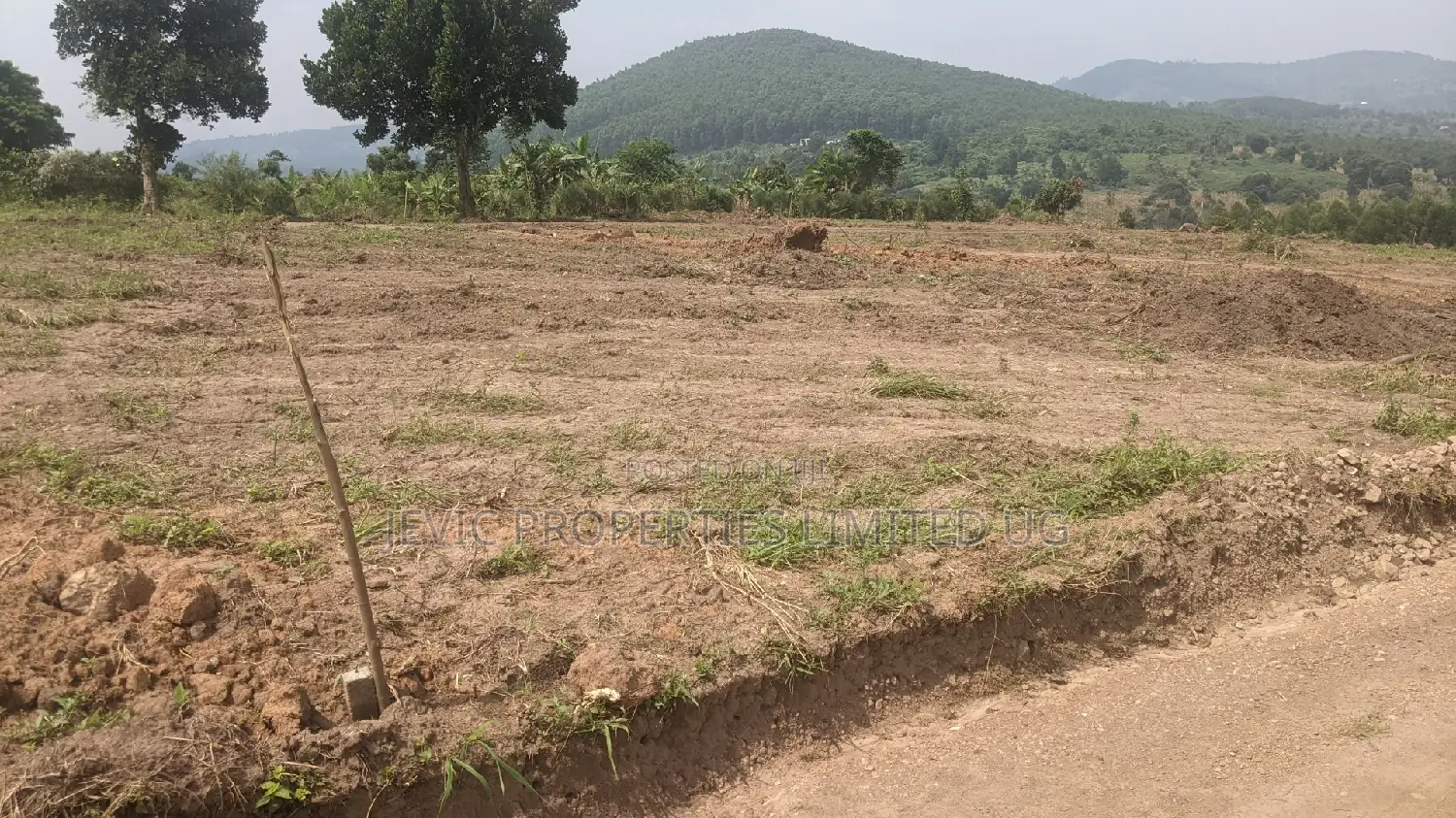 New Plots in the Gobero Katake Estate