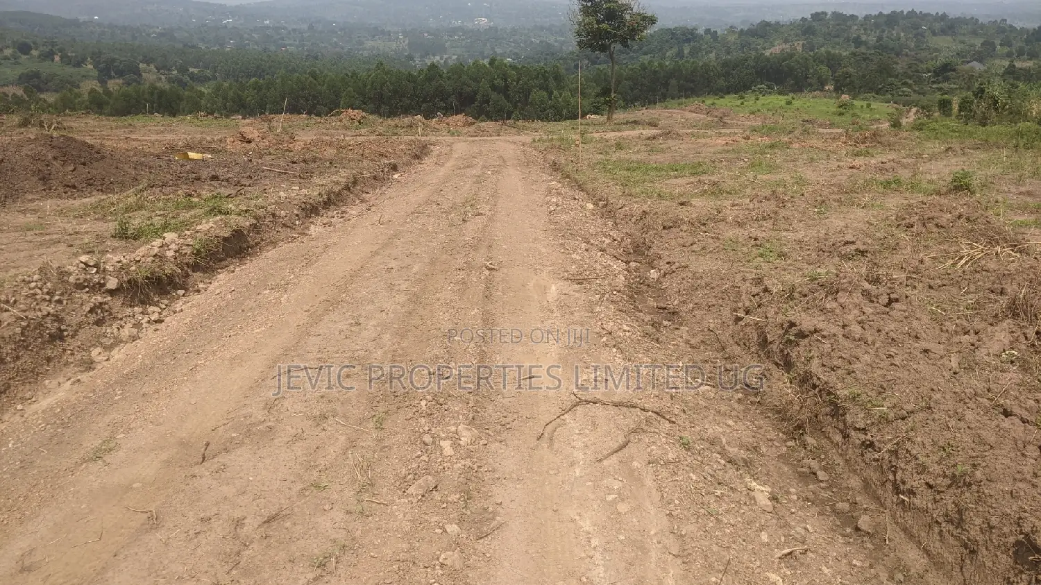 New Plots in the Gobero Katake Estate