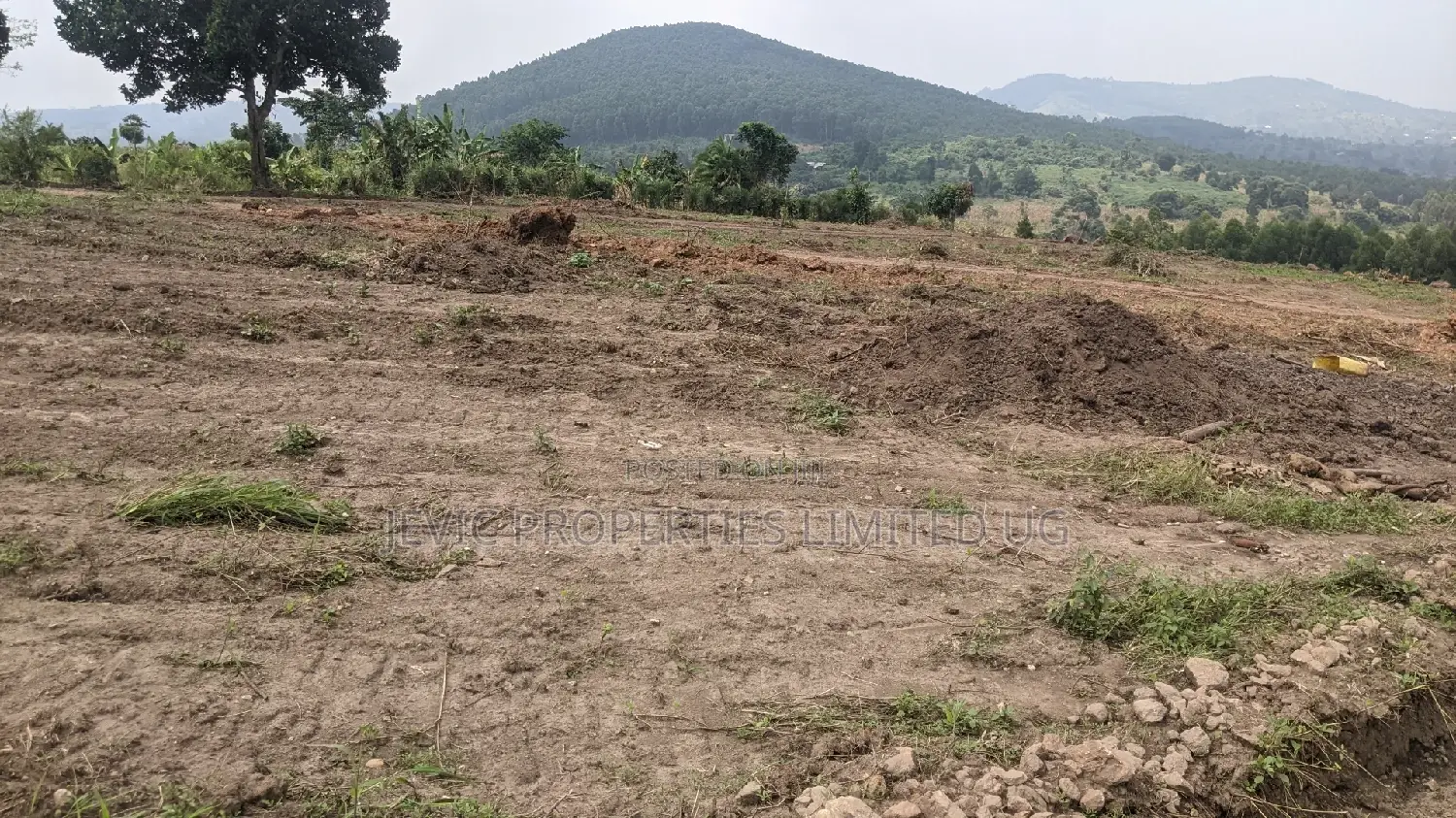 New Plots in the Gobero Katake Estate