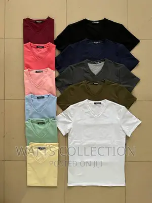 Plain T Shirts Long Sleeved and Short Sleeved