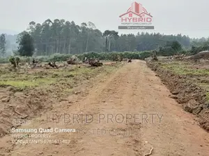 Prime Plots for Sale at Mwera~Kakiri New City Land Estate.