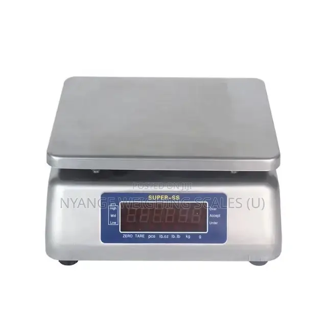 Electronic Stainless Weigh 30kg Weighing Scale Digital Weighing Scale