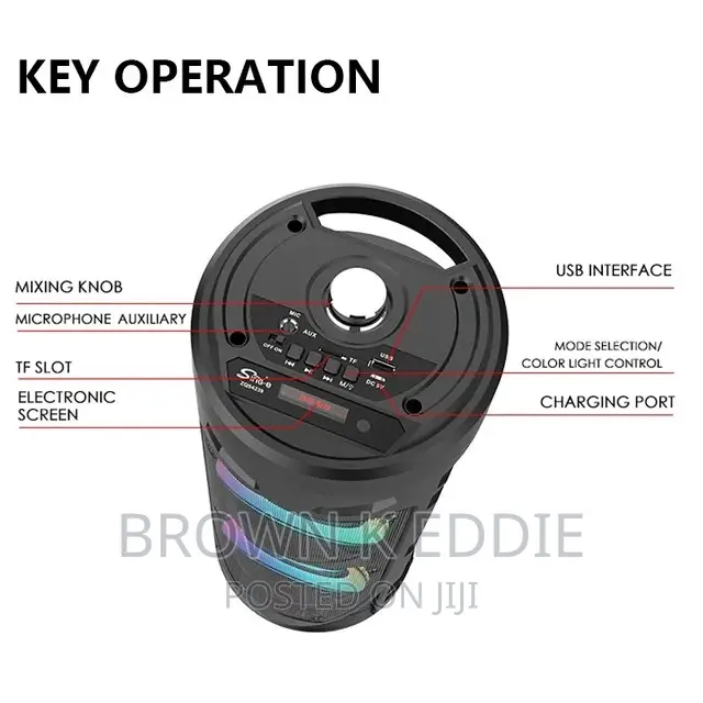 Bass Party Speakers With Microphone