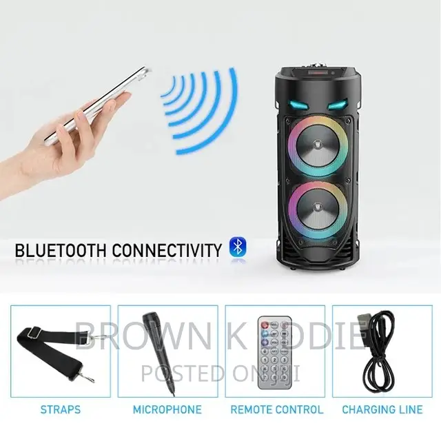 Bass Party Speakers With Microphone