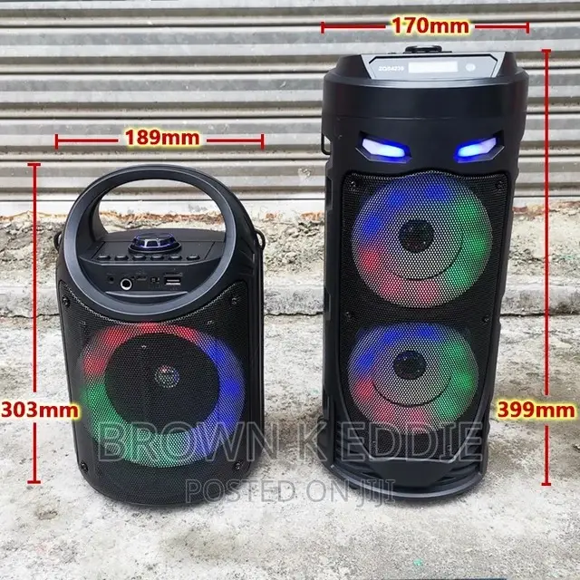 Bass Party Speakers With Microphone