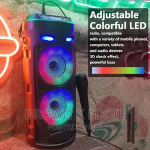 Bass Party Speakers With Microphone