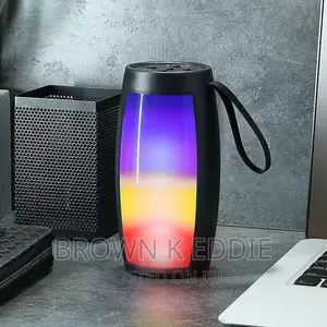 Portable Speaker MP3 Audio LED Wireless Bluetooth Speaker