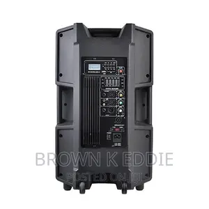 15 Inch 800W Big Power Professional Active Powered Speaker
