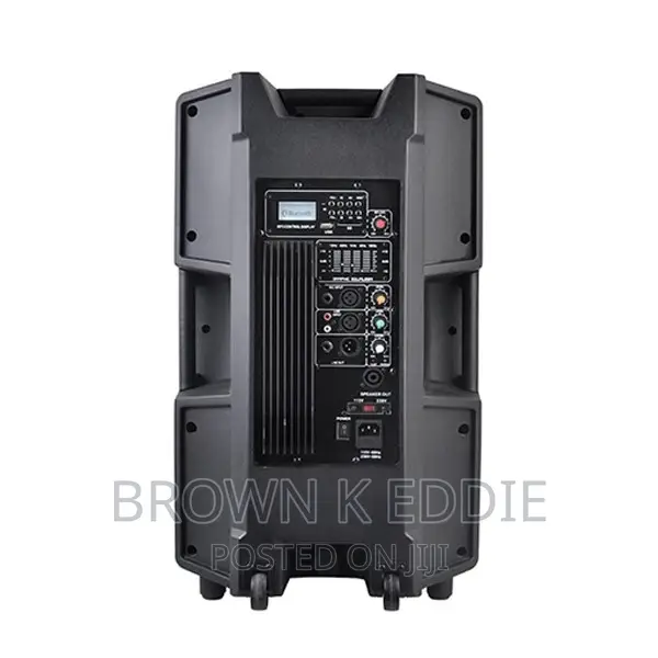 15 Inch 800W Big Power Professional Active Powered Speaker