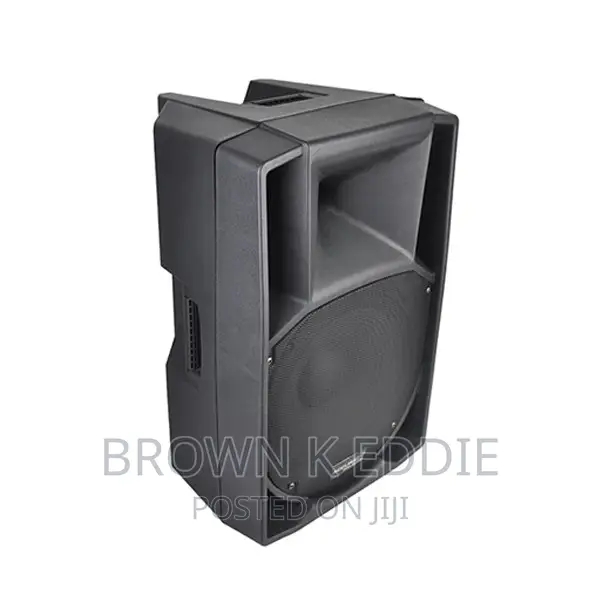 15 Inch 800W Big Power Professional Active Powered Speaker