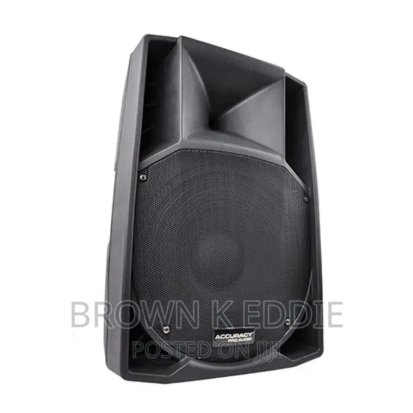 15 Inch 800W Big Power Professional Active Powered Speaker