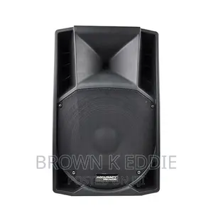 15 Inch 800W Big Power Professional Active Powered Speaker