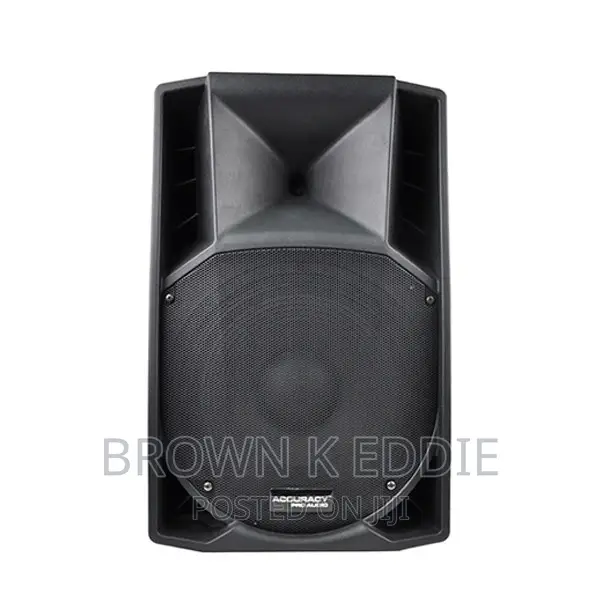 15 Inch 800W Big Power Professional Active Powered Speaker