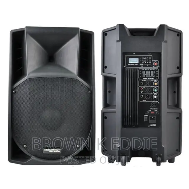 15 Inch 800W Big Power Professional Active Powered Speaker