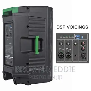 2000 Watts 15 Inch Professional Versatile Powered Speaker