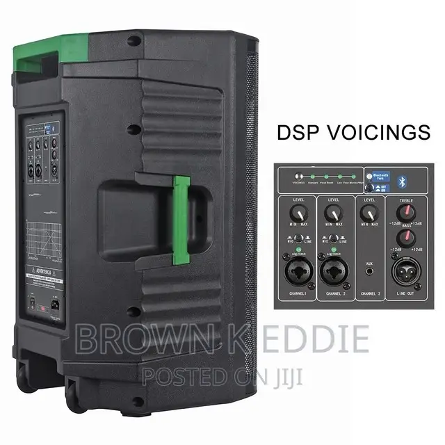 2000 Watts 15 Inch Professional Versatile Powered Speaker