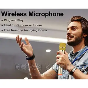 Wireless Microphone UHF Dual Cordless Dynamic Mic System