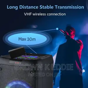 VHF Wireless Microphone Dual Cordless Dynamic Mic System