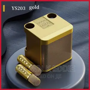 High Power Wireless Portable Microphone Bluetooth Speaker