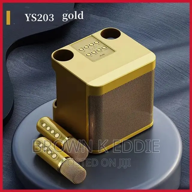 High Power Wireless Portable Microphone Bluetooth Speaker