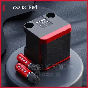 High Power Wireless Portable Microphone Bluetooth Speaker