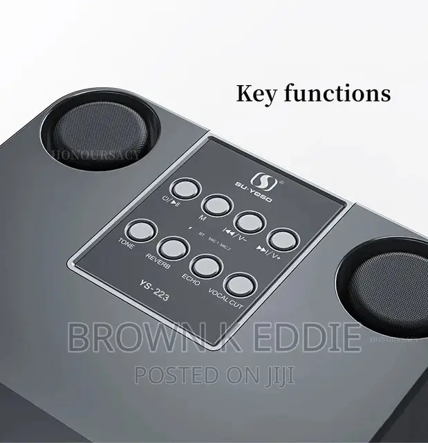 High Power Wireless Portable Microphone Bluetooth Speaker