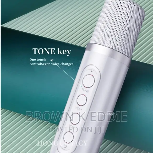 High Power Wireless Portable Microphone Bluetooth Speaker