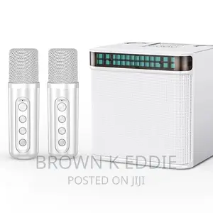 High Power Wireless Portable Microphone Bluetooth Speaker