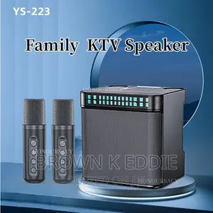 High Power Wireless Portable Microphone Bluetooth Speaker