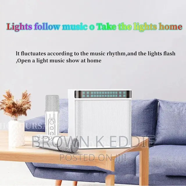 High Power Wireless Portable Microphone Bluetooth Speaker