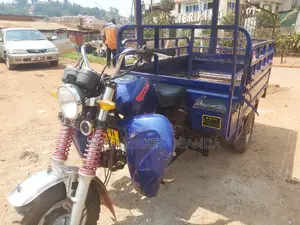 Tricycle 2023 Blue