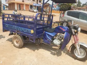 Tricycle 2023 Blue
