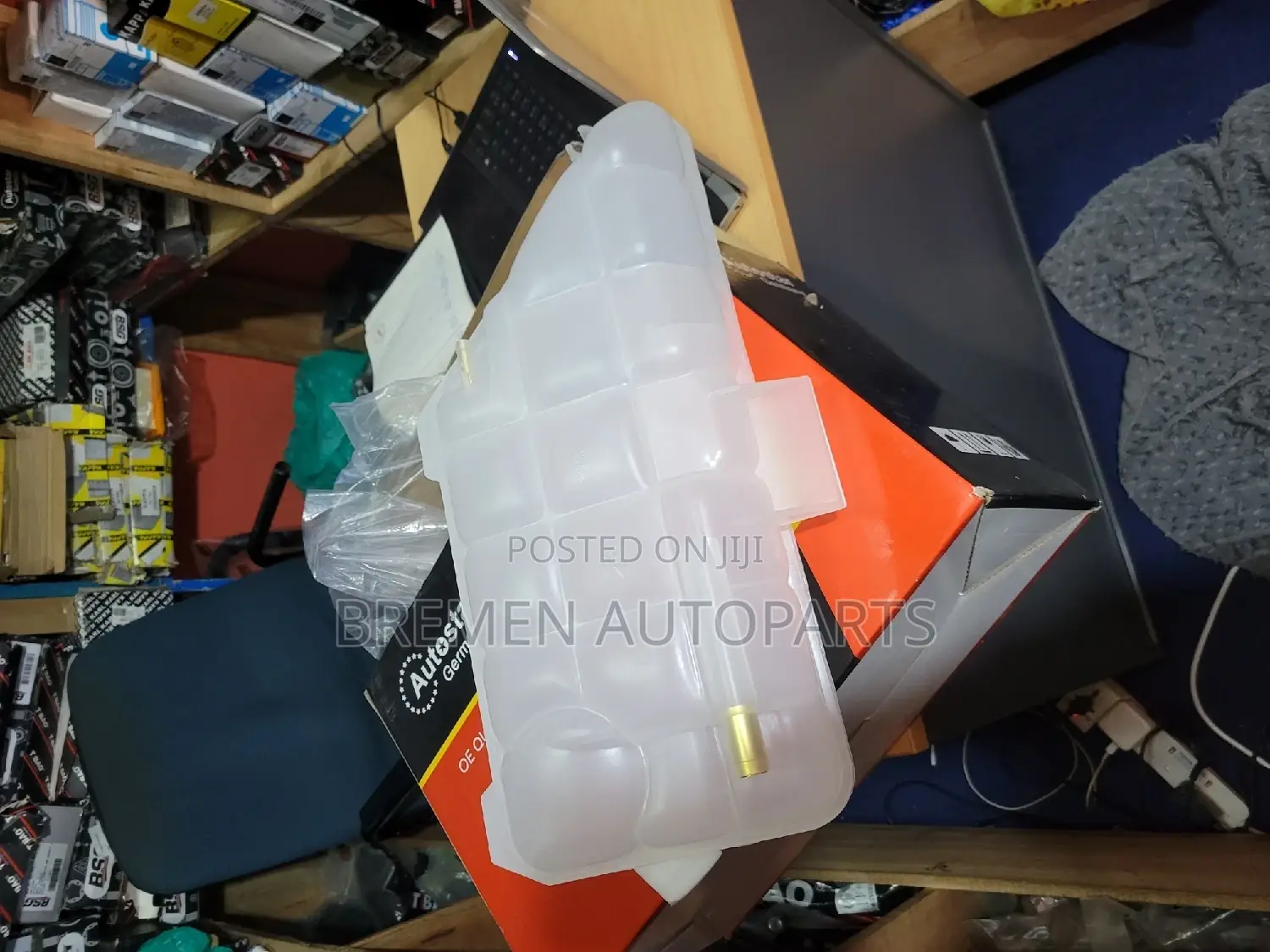Coolant Expansion Tank Mercedes W163