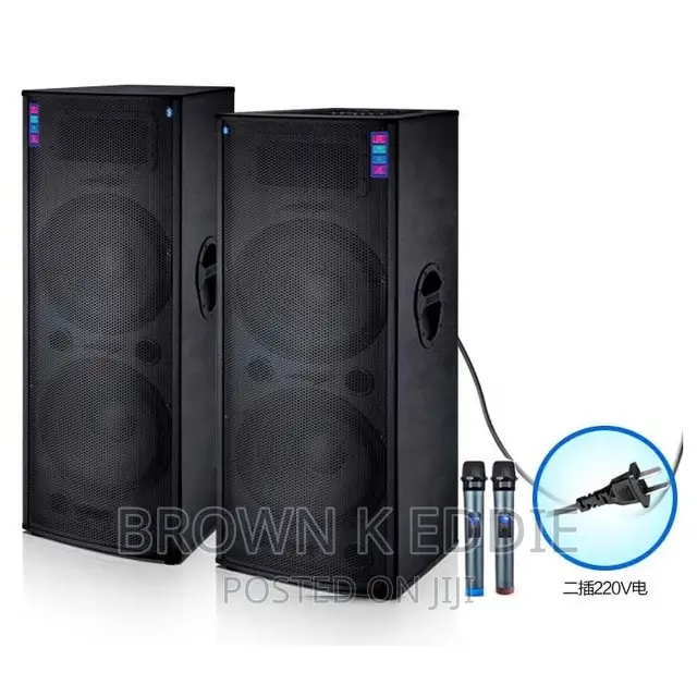 Double 12inch Big Power Active Professional Outdoor