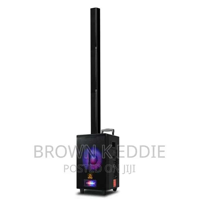 Active Concert Speaker Columm Pa System Indoor Linear Array