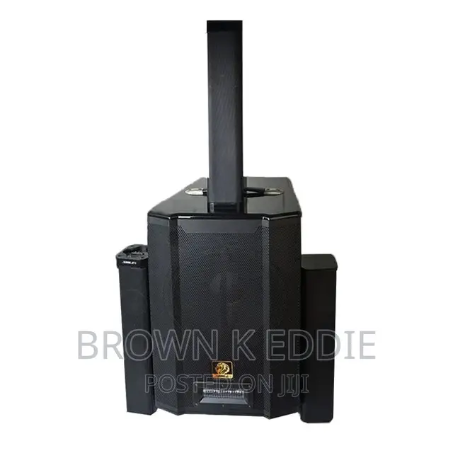 Active Concert Speaker Columm Pa System Indoor Linear Array