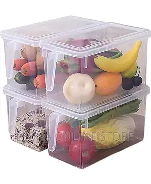 Super Quality Fridge Storage Box