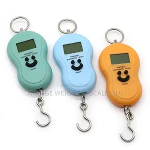 Mini Accuracy Digital Luggage Scale [30]