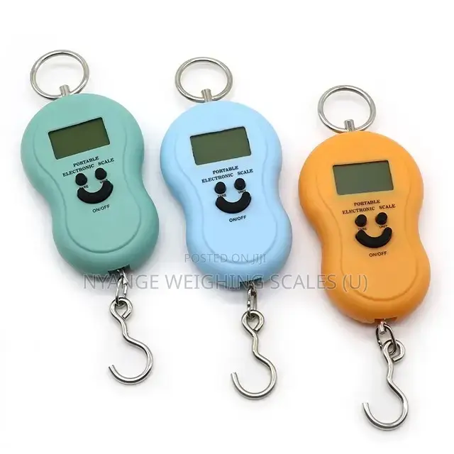 Mini Accuracy Digital Luggage Scale [30]