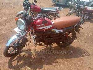 Hero Hunter 125 2019 Brown