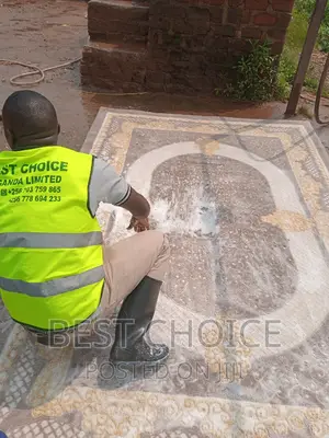 Passionate Carpet Cleaners With Pick Up and Delivery Service