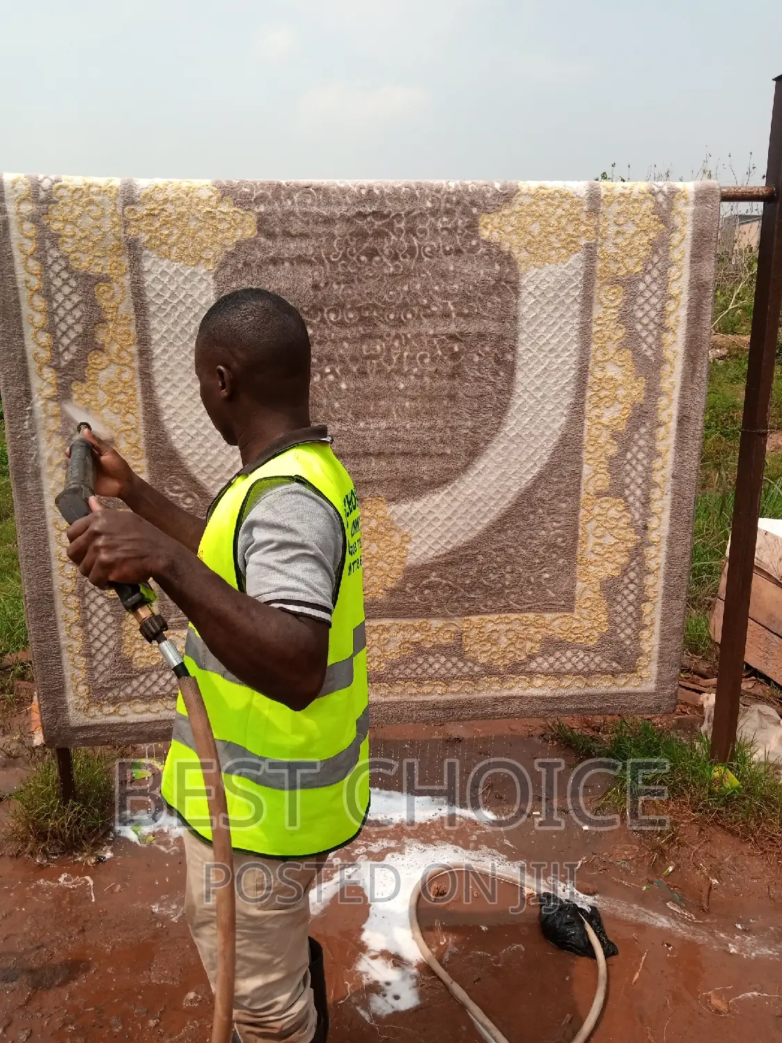 Passionate Carpet Cleaners With Pick Up and Delivery Service