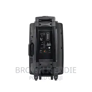 Super Quality 12 Inch Trolley Speaker With Microphone 1000w