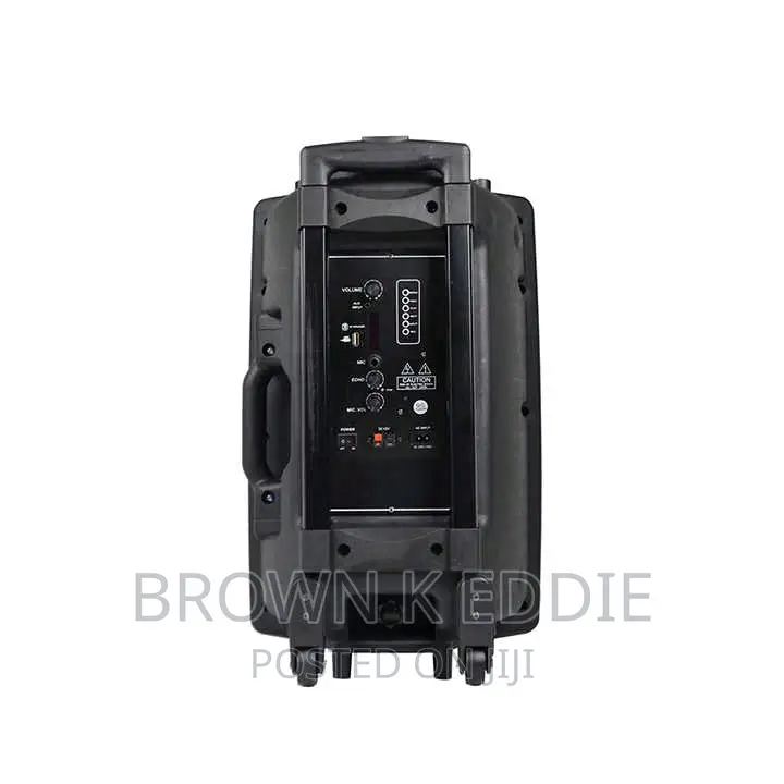 Super Quality 12 Inch Trolley Speaker With Microphone 1000w