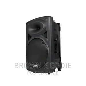 Super Quality 12 Inch Trolley Speaker With Microphone 1000w